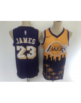 James 23 Los Angeles Lakers Cod.415