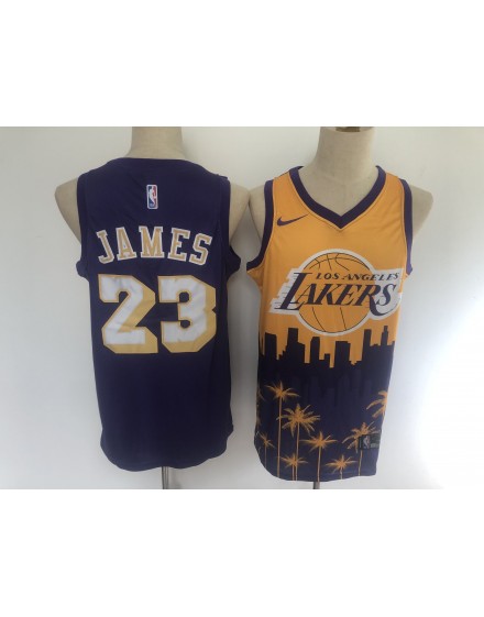 James 23 Los Angeles Lakers Cod.415