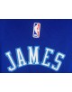 James 23 Los Angeles Lakers Cod.417