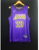 James 23 Los Angeles Lakers Cod.418