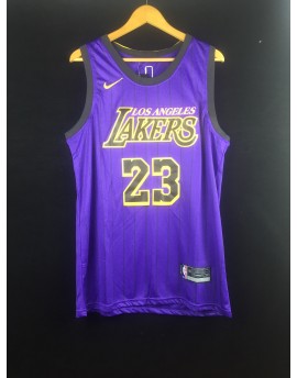 James 23 Los Angeles Lakers Cod.418