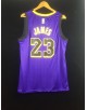 James 23 Los Angeles Lakers Cod.418