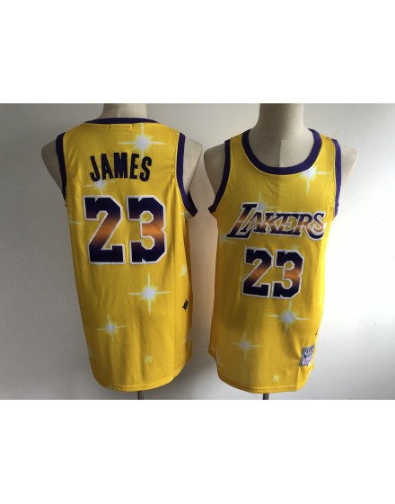 James 23 Los Angeles Lakers Cod.419