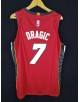 DRAGIC 7 Miami Heat Cod.488