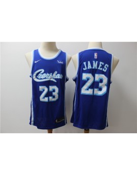 James 23 Los Angeles Lakers Cod.510