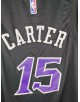 Carter 15 Toronto Raptors Cod.441