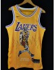 James 23 Los Angeles Lakers Cod.416