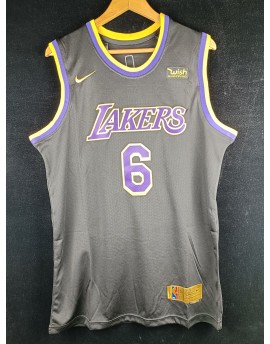 James 6 Los Angeles Lakers Code 689