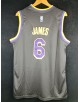 James 6 Los Angeles Lakers Code 689