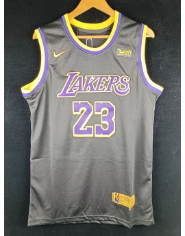 James 23 Los Angeles Lakers Cod. 690