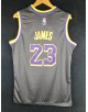 James 23 Los Angeles Lakers Cod. 690