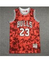 Jordan 23 Chicago Bulls Cod.789