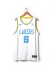 James 6 Los Angeles Lakers Cod.842