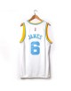 James 6 Los Angeles Lakers Cod.842