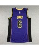 James 6 Los Angeles Lakers Cod.849