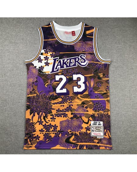 James 23 Los Angeles Lakers Cod.965