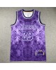 James 23 Los Angeles Lakers Cod.966