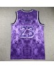 James 23 Los Angeles Lakers Cod.966