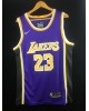 James 23 Los Angeles Lakers cod.258