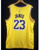 James 23 Los Angeles Lakers cod.256