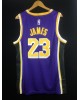 James 23 Los Angeles Lakers cod.258