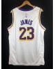 James 23 Los Angeles Lakers cod.257