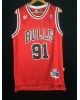 Rodman 91 Chicago Bulls cod.30