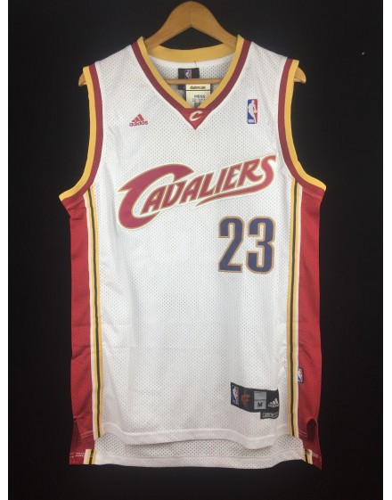 LeBron James 23 CLEVELAND CAVALIERS cod. 397