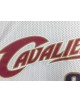 LeBron James 23 CLEVELAND CAVALIERS cod. 397