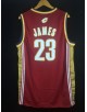 LeBron James 23 CLEVELAND CAVALIERS Cod. 398