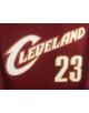 LeBron James 23 CLEVELAND CAVALIERS Cod. 398